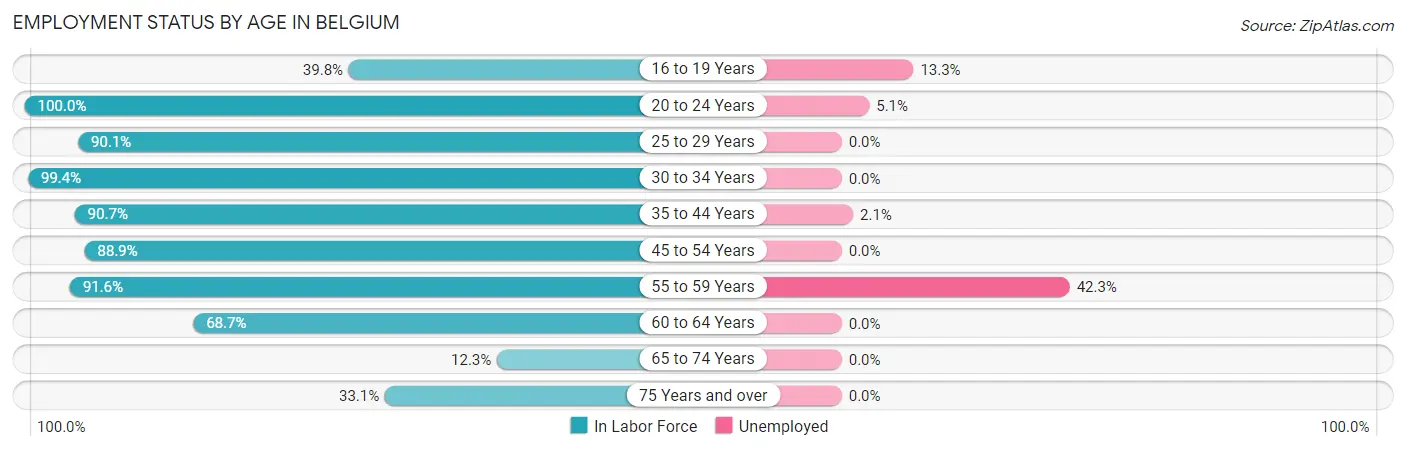 Employment Status by Age in Belgium