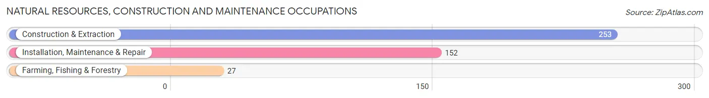 Natural Resources, Construction and Maintenance Occupations in Bellevue