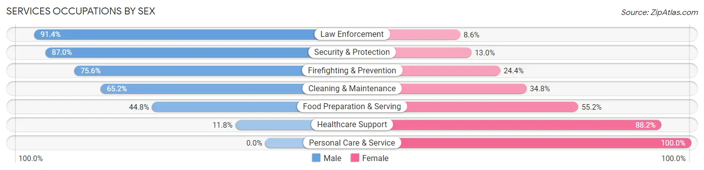Services Occupations by Sex in Berlin