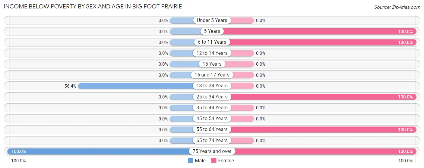 Income Below Poverty by Sex and Age in Big Foot Prairie