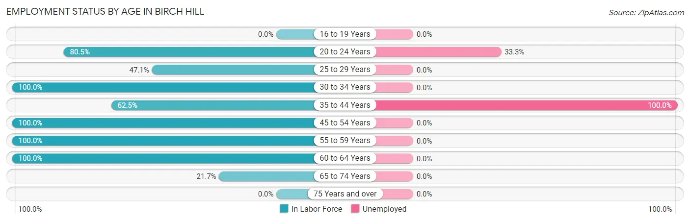 Employment Status by Age in Birch Hill