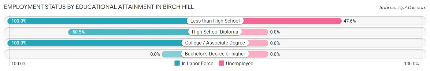 Employment Status by Educational Attainment in Birch Hill