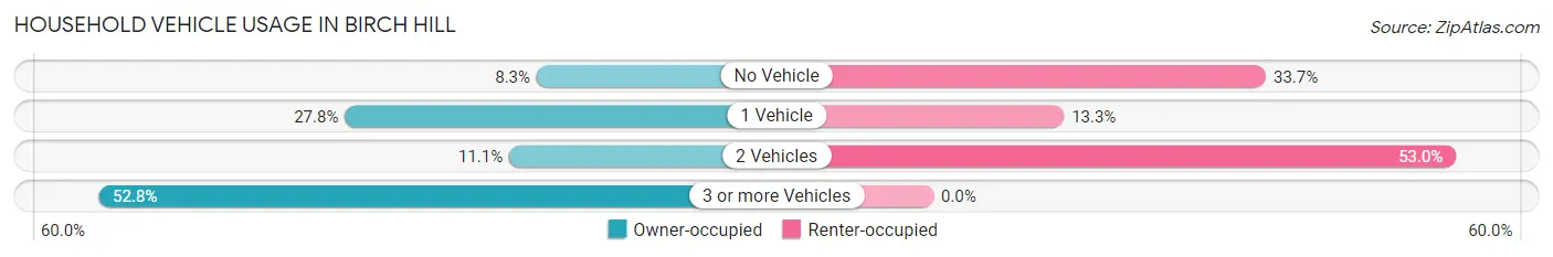 Household Vehicle Usage in Birch Hill