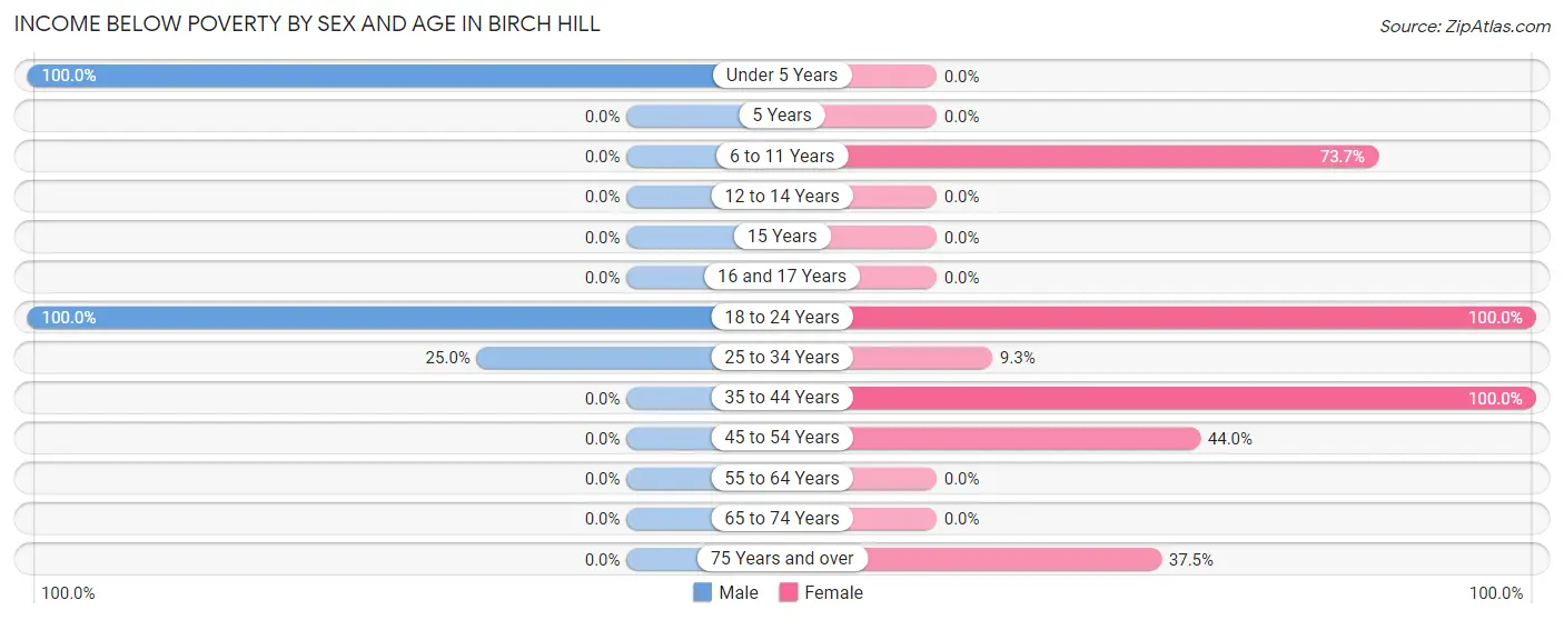 Income Below Poverty by Sex and Age in Birch Hill