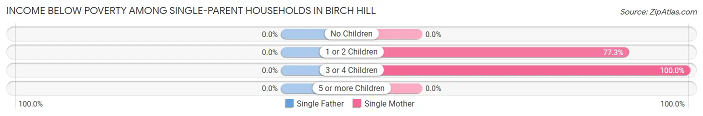 Income Below Poverty Among Single-Parent Households in Birch Hill