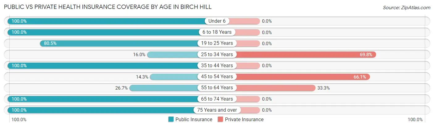 Public vs Private Health Insurance Coverage by Age in Birch Hill