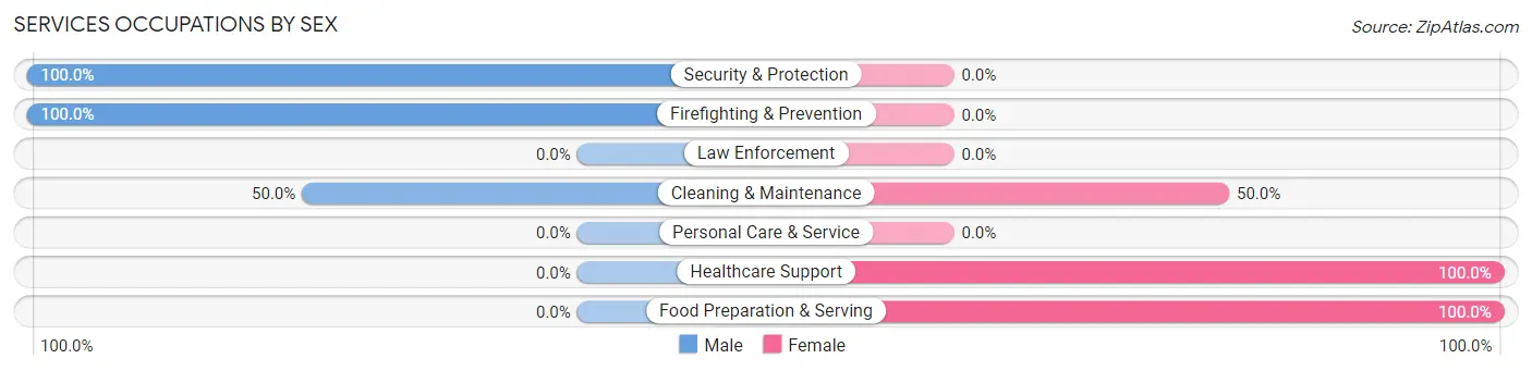 Services Occupations by Sex in Birch Hill