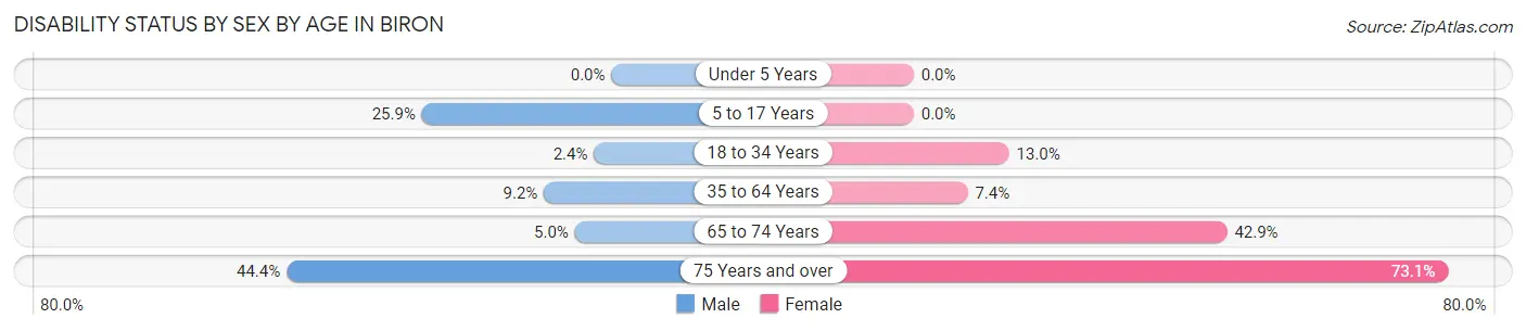 Disability Status by Sex by Age in Biron