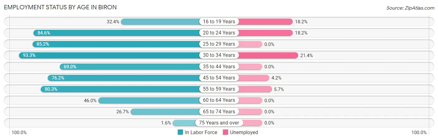 Employment Status by Age in Biron