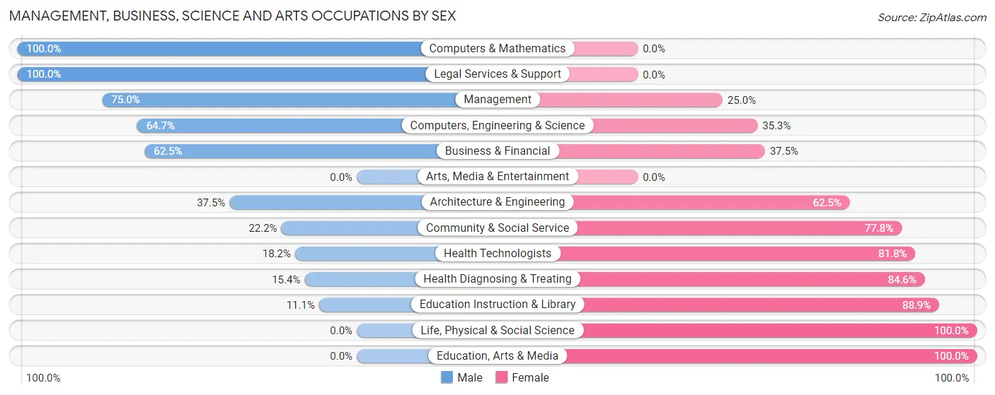 Management, Business, Science and Arts Occupations by Sex in Biron