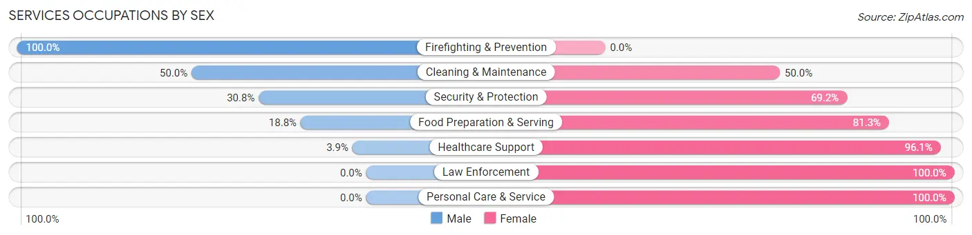 Services Occupations by Sex in Blair