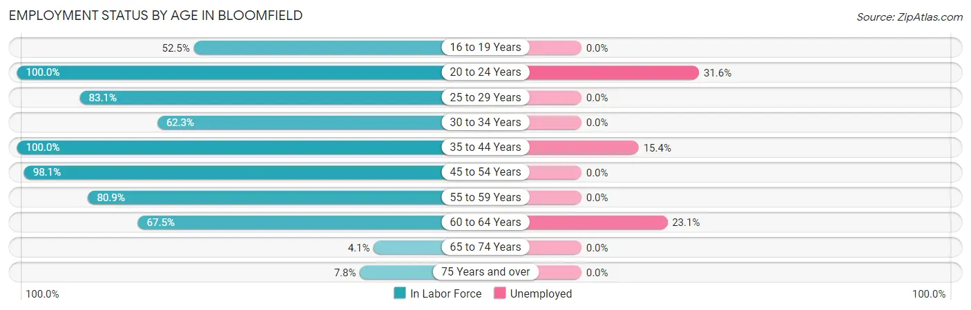 Employment Status by Age in Bloomfield