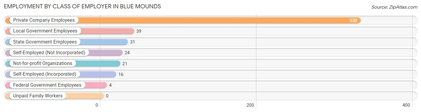 Employment by Class of Employer in Blue Mounds