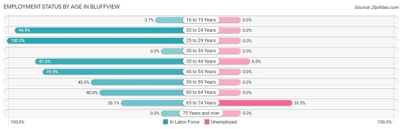 Employment Status by Age in Bluffview