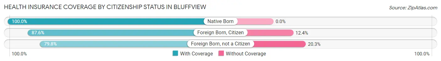 Health Insurance Coverage by Citizenship Status in Bluffview