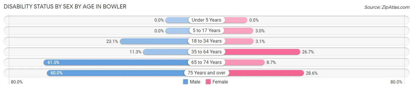 Disability Status by Sex by Age in Bowler