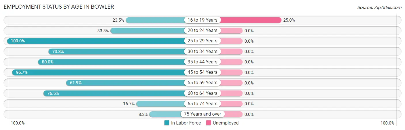 Employment Status by Age in Bowler