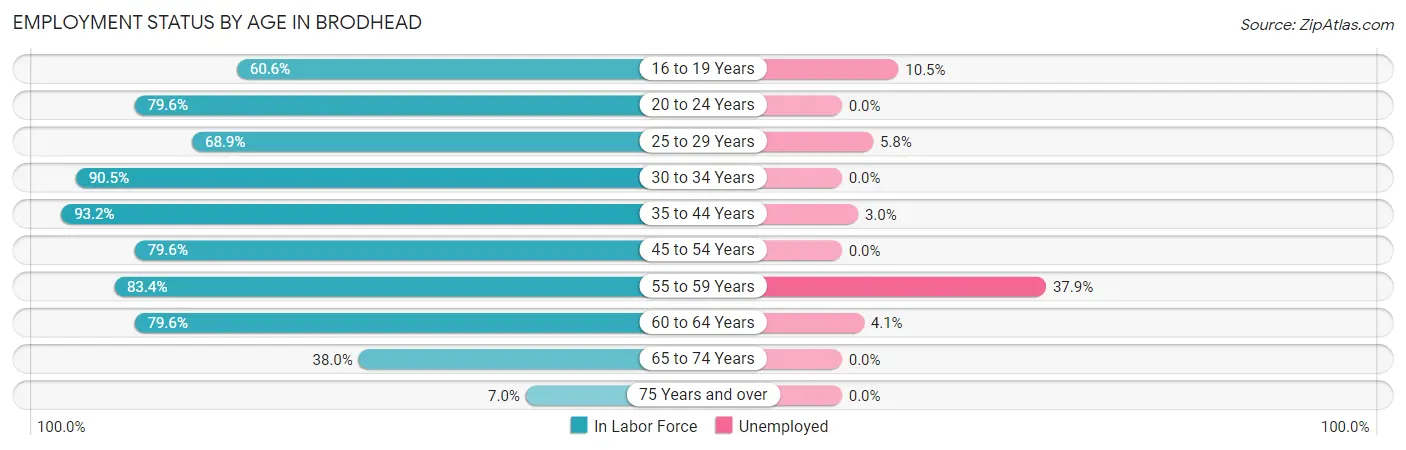 Employment Status by Age in Brodhead