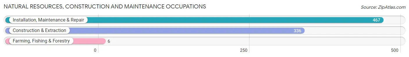 Natural Resources, Construction and Maintenance Occupations in Brookfield