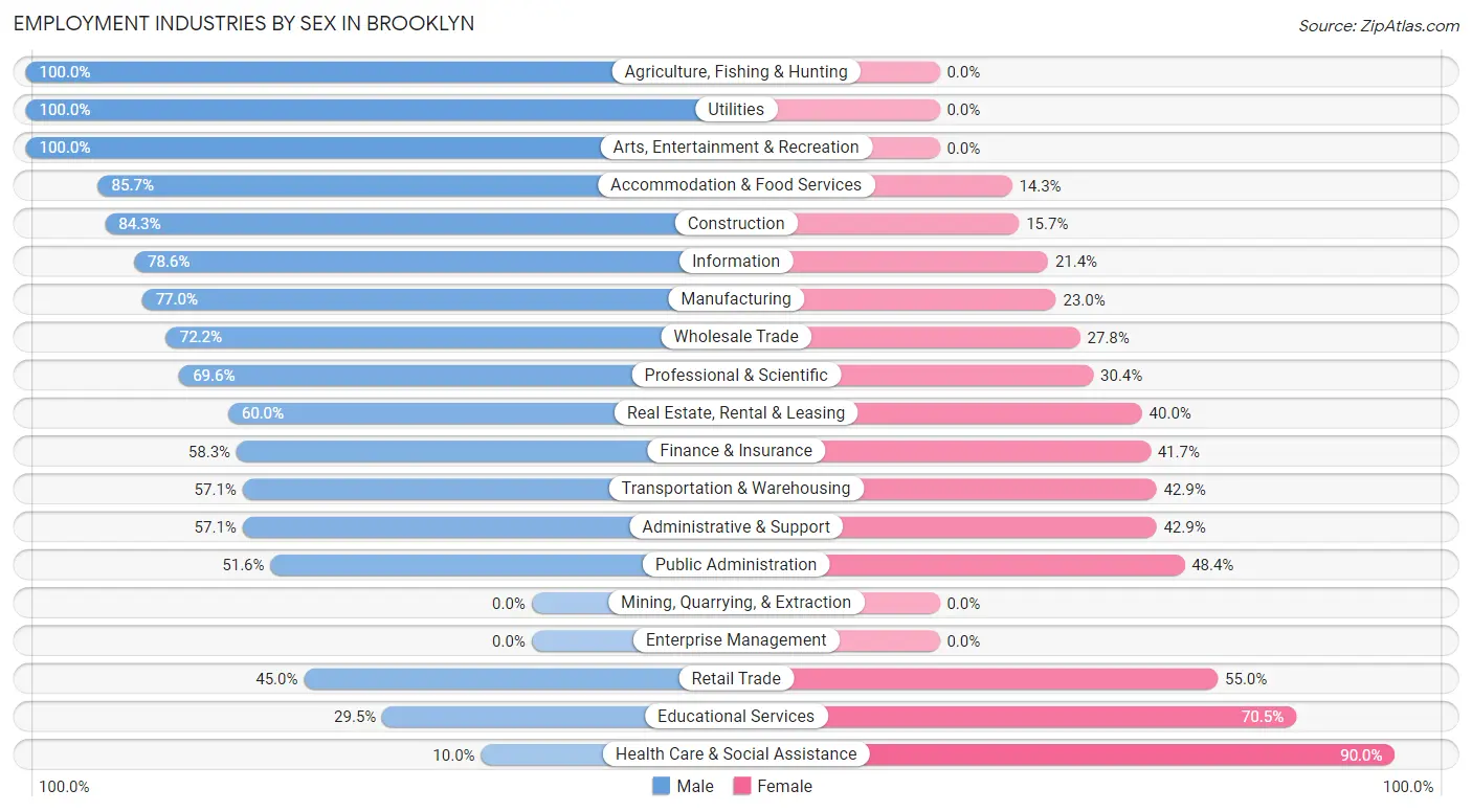 Employment Industries by Sex in Brooklyn