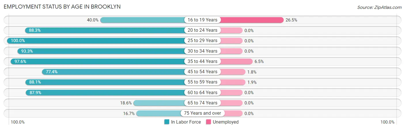 Employment Status by Age in Brooklyn