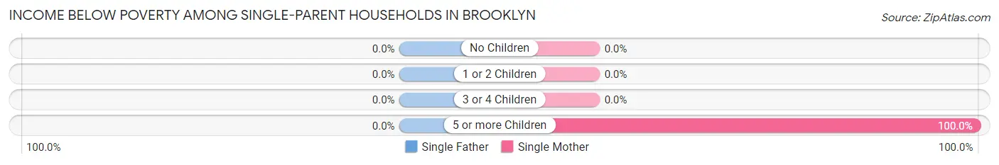 Income Below Poverty Among Single-Parent Households in Brooklyn