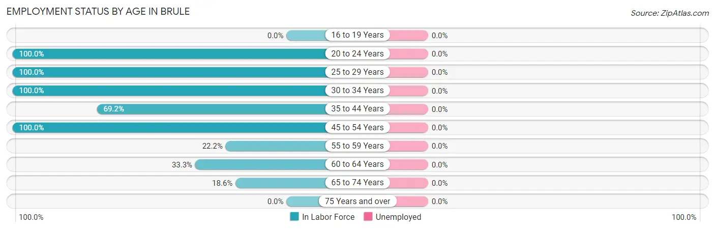 Employment Status by Age in Brule