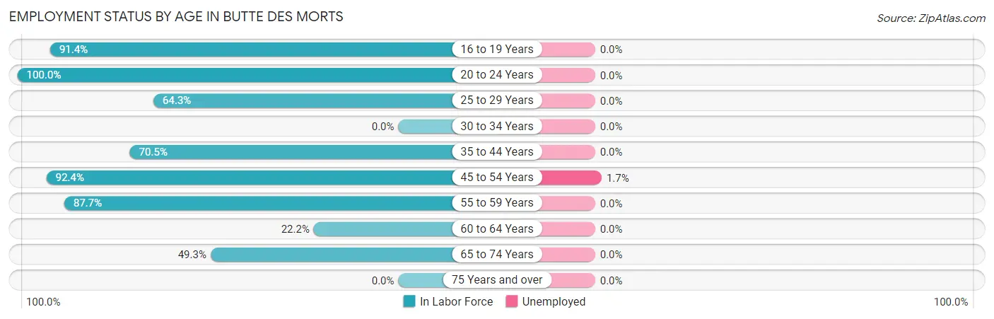 Employment Status by Age in Butte Des Morts