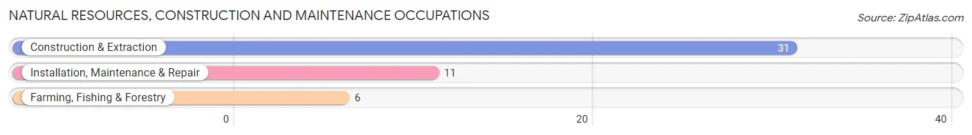 Natural Resources, Construction and Maintenance Occupations in Butte Des Morts