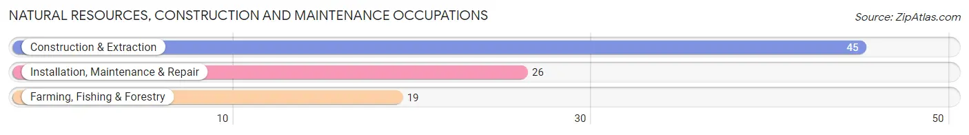 Natural Resources, Construction and Maintenance Occupations in Cameron