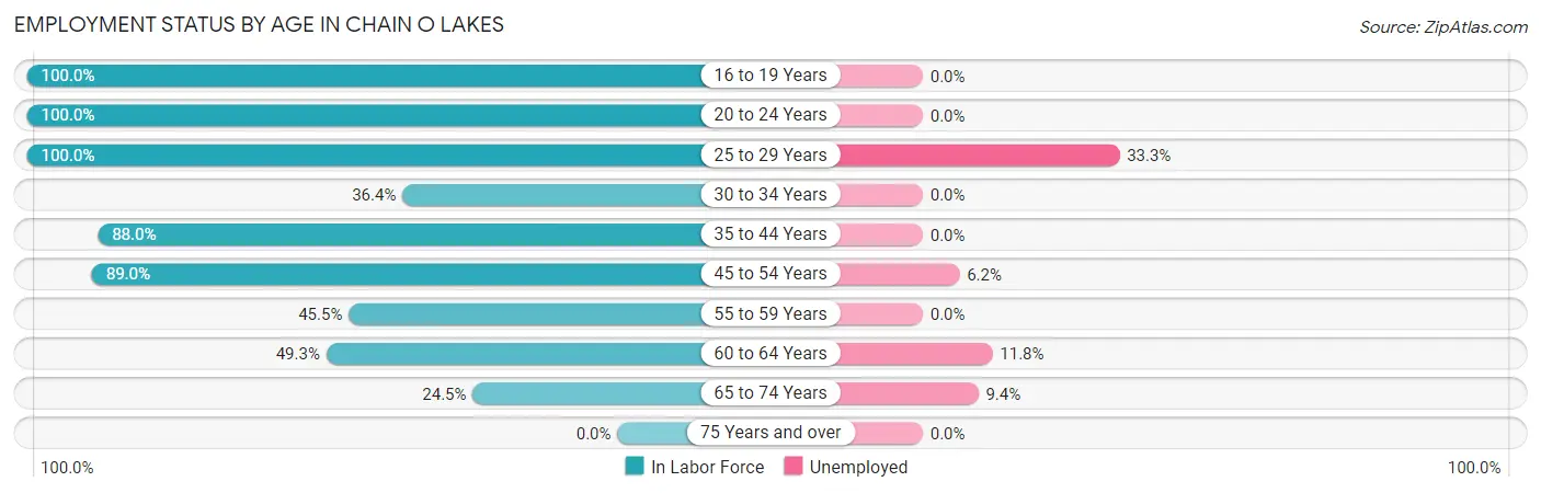 Employment Status by Age in Chain O Lakes