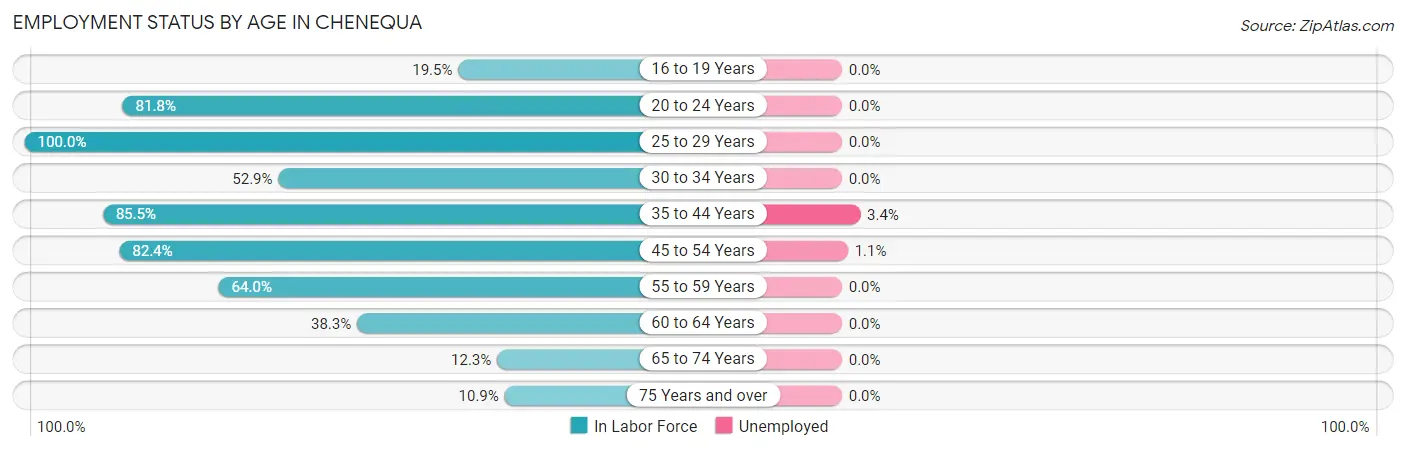 Employment Status by Age in Chenequa