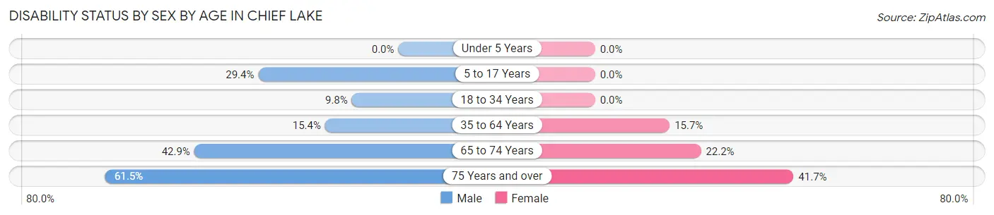 Disability Status by Sex by Age in Chief Lake