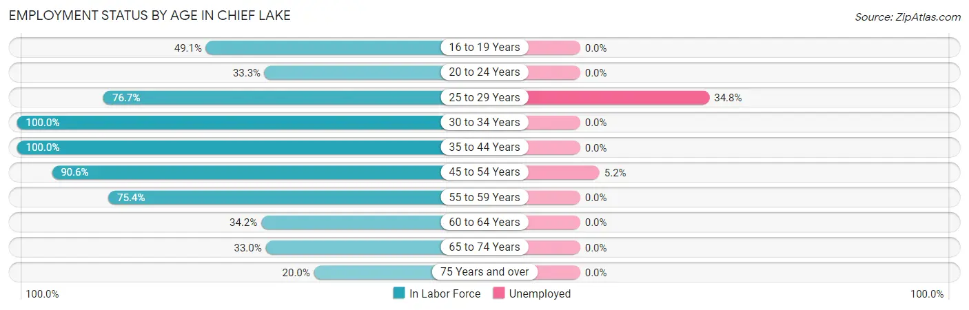 Employment Status by Age in Chief Lake