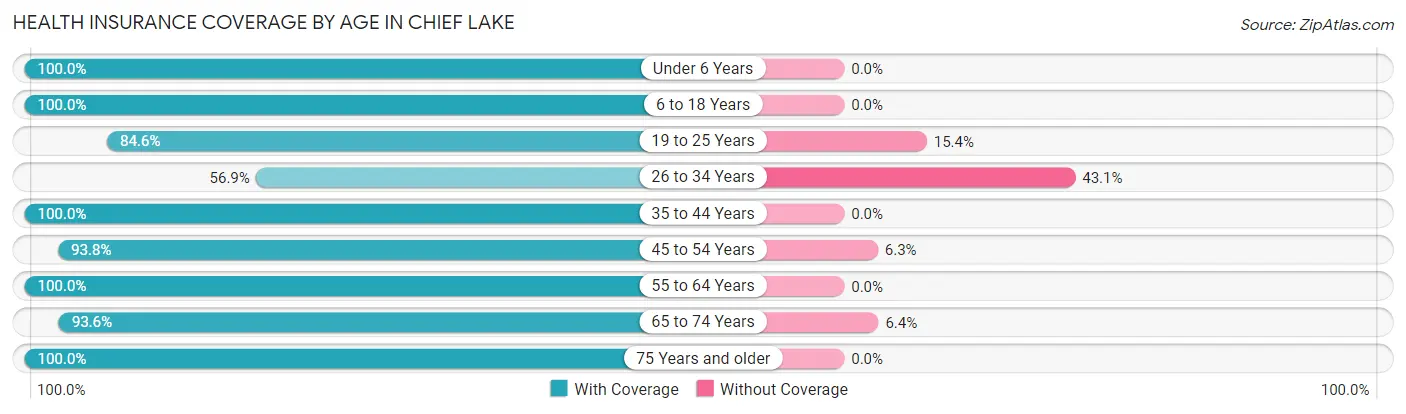 Health Insurance Coverage by Age in Chief Lake