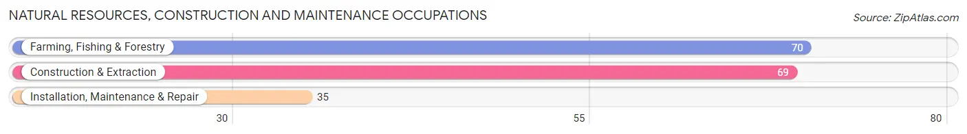 Natural Resources, Construction and Maintenance Occupations in Chilton