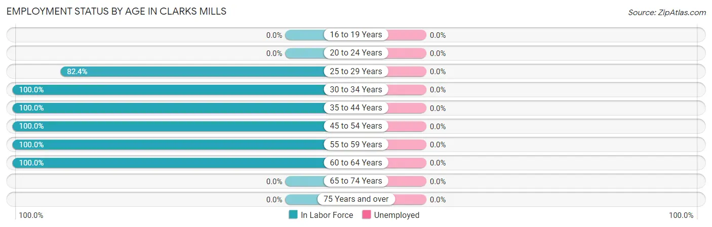 Employment Status by Age in Clarks Mills