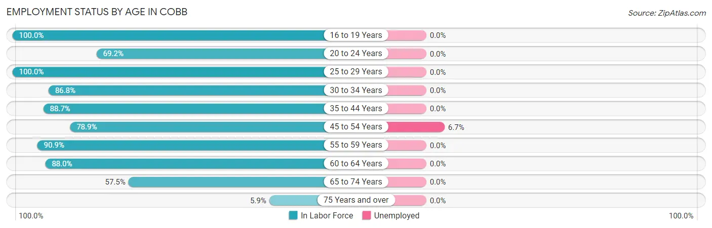 Employment Status by Age in Cobb