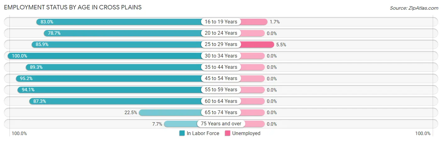 Employment Status by Age in Cross Plains