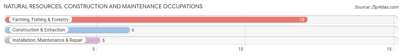 Natural Resources, Construction and Maintenance Occupations in Curtiss