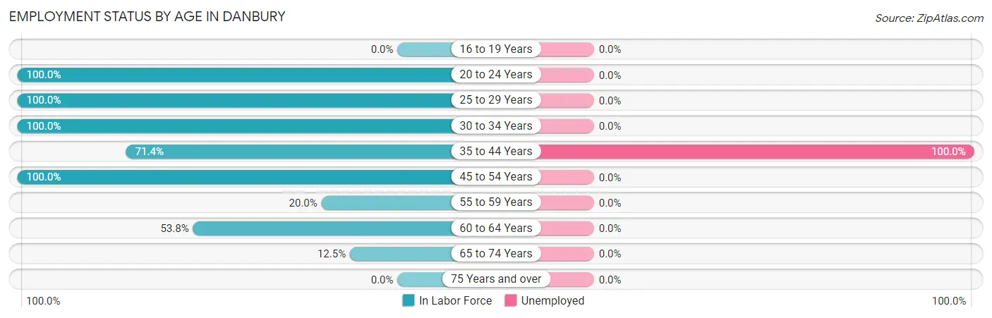 Employment Status by Age in Danbury