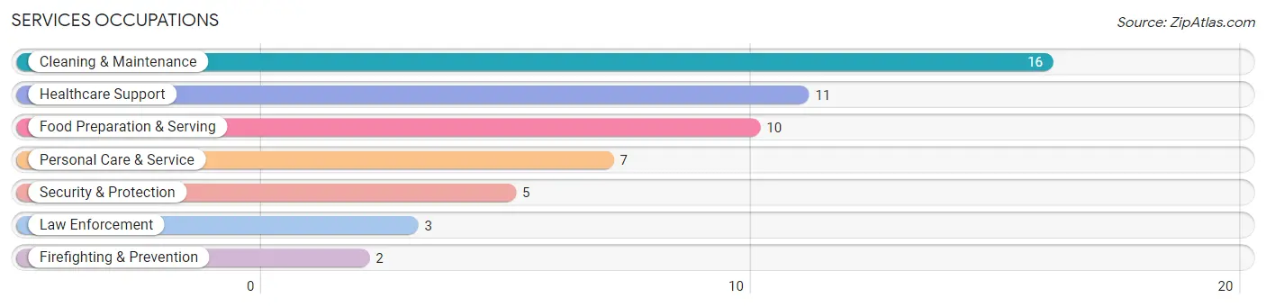 Services Occupations in De Soto