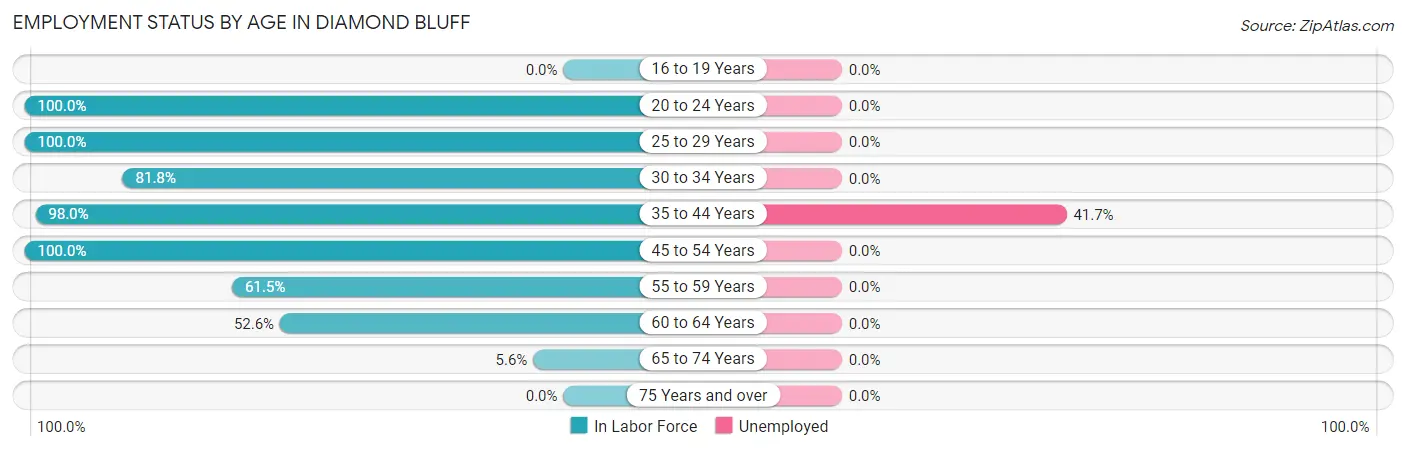 Employment Status by Age in Diamond Bluff