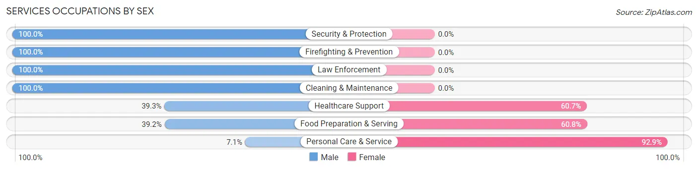 Services Occupations by Sex in Dodgeville