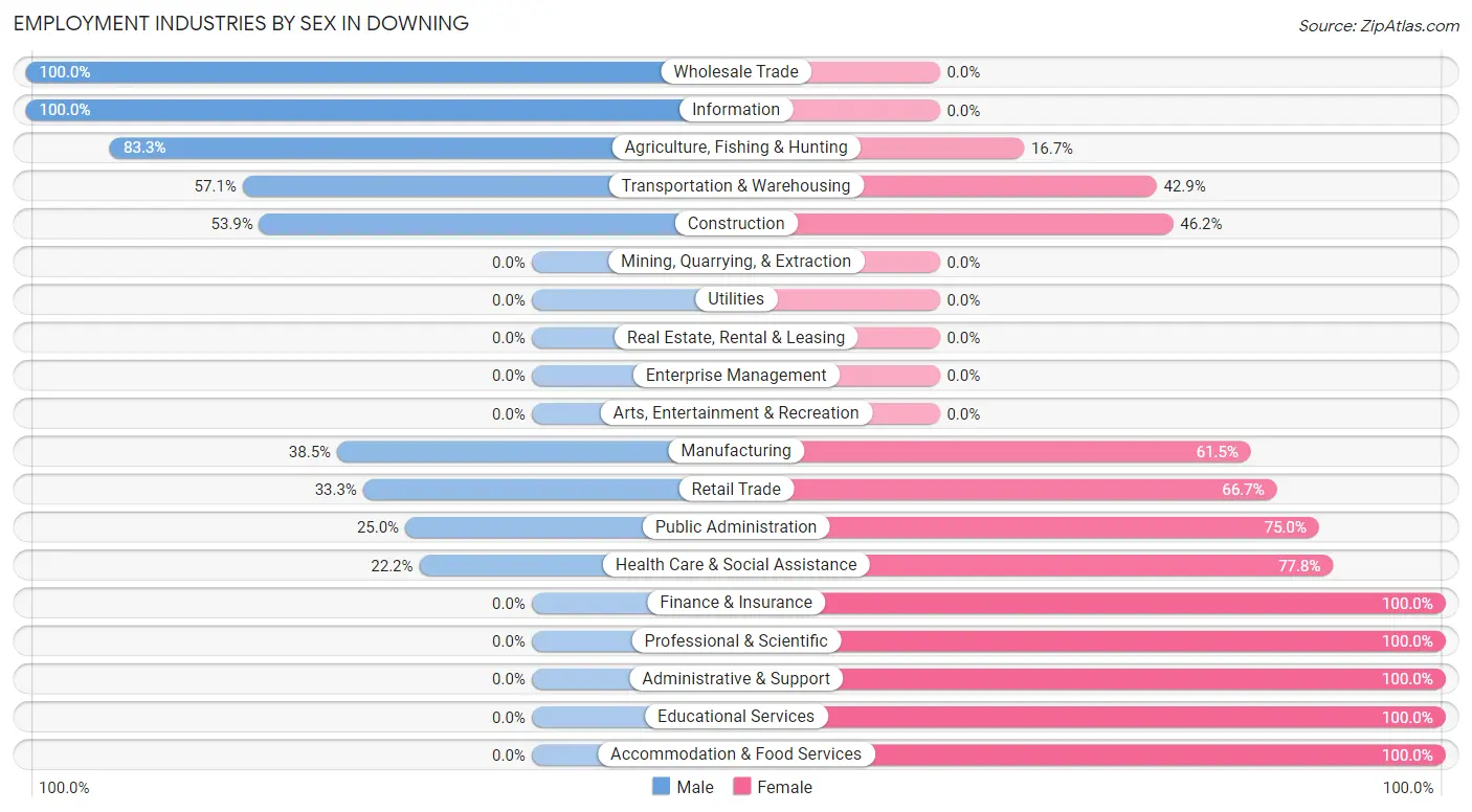 Employment Industries by Sex in Downing