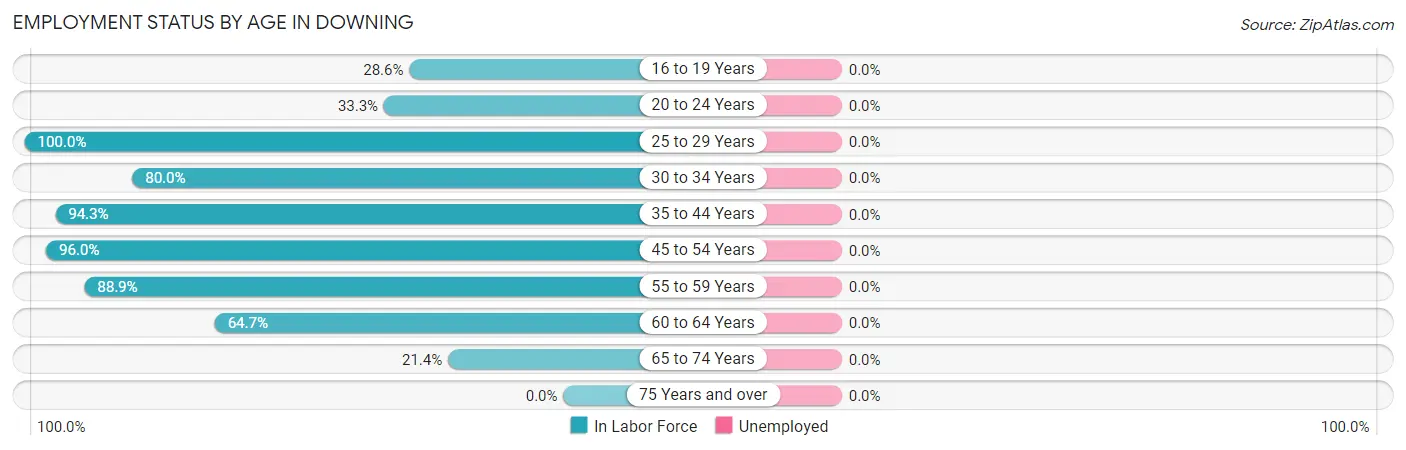 Employment Status by Age in Downing