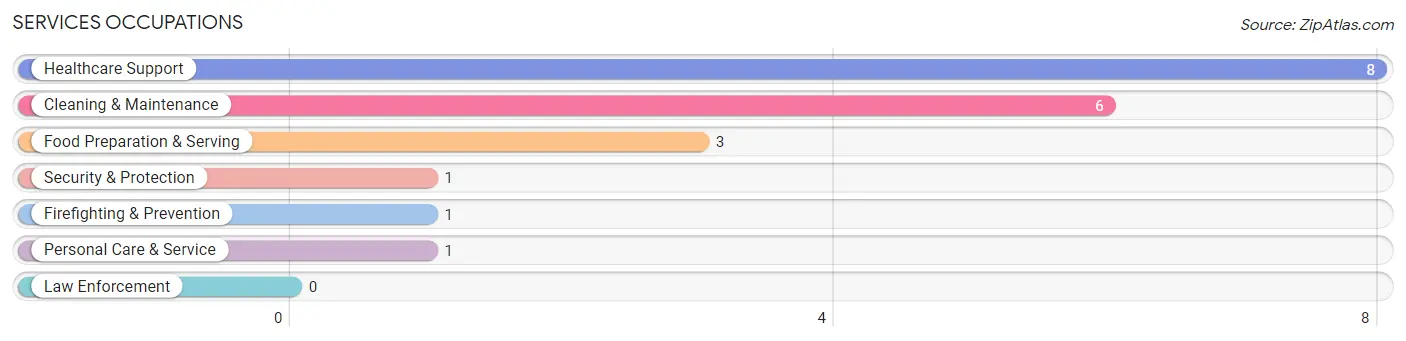 Services Occupations in Downing