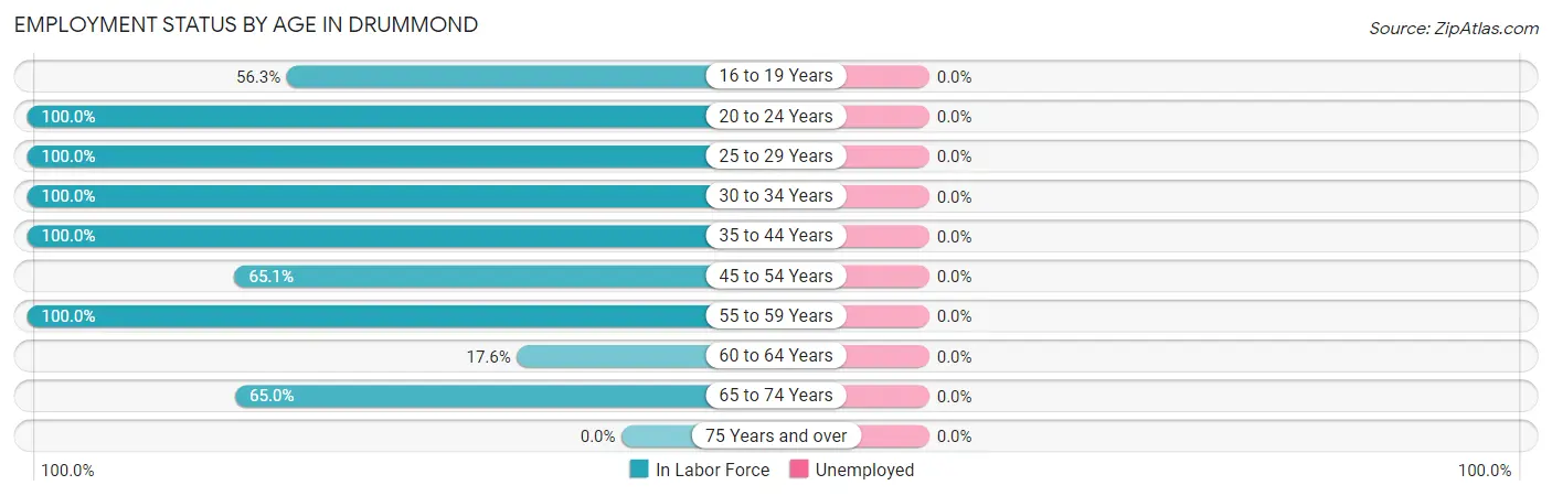 Employment Status by Age in Drummond