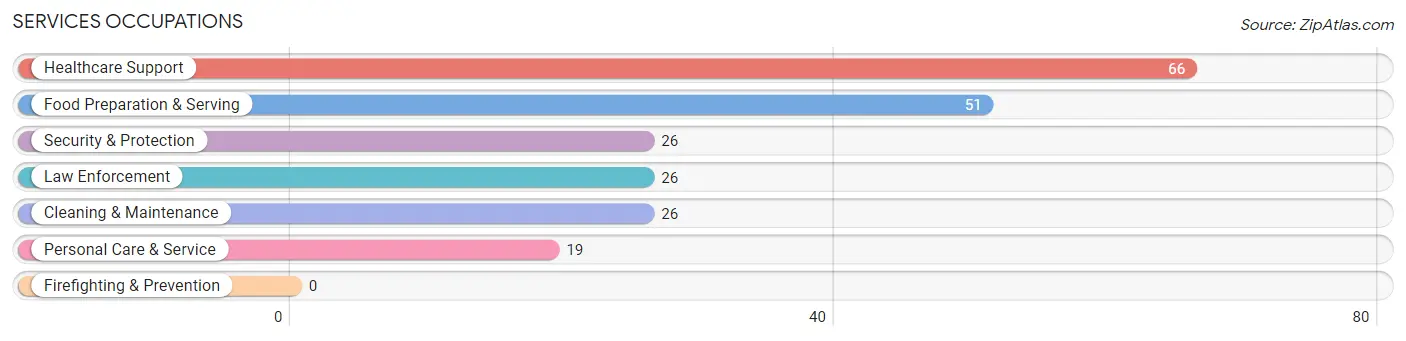 Services Occupations in Durand