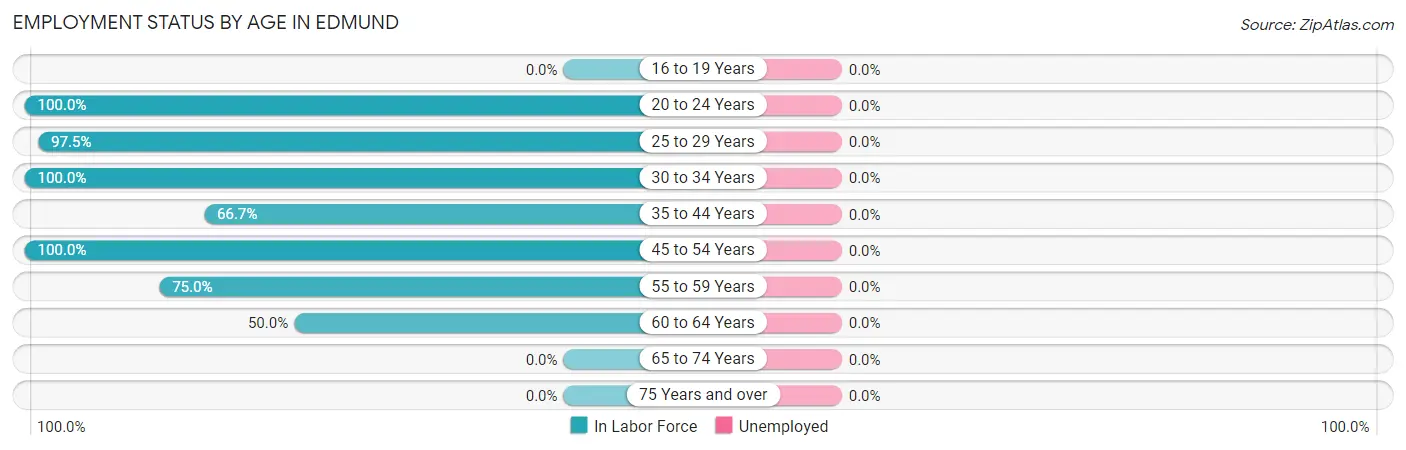 Employment Status by Age in Edmund
